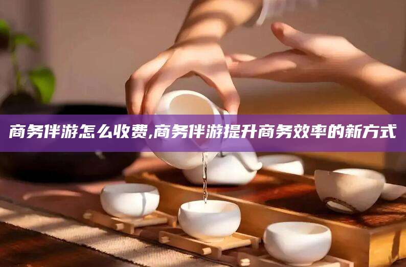 安阳商务伴游怎么收费,商务伴游提升商务效率的新方式