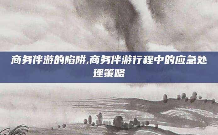 安阳商务伴游的陷阱,商务伴游行程中的应急处理策略